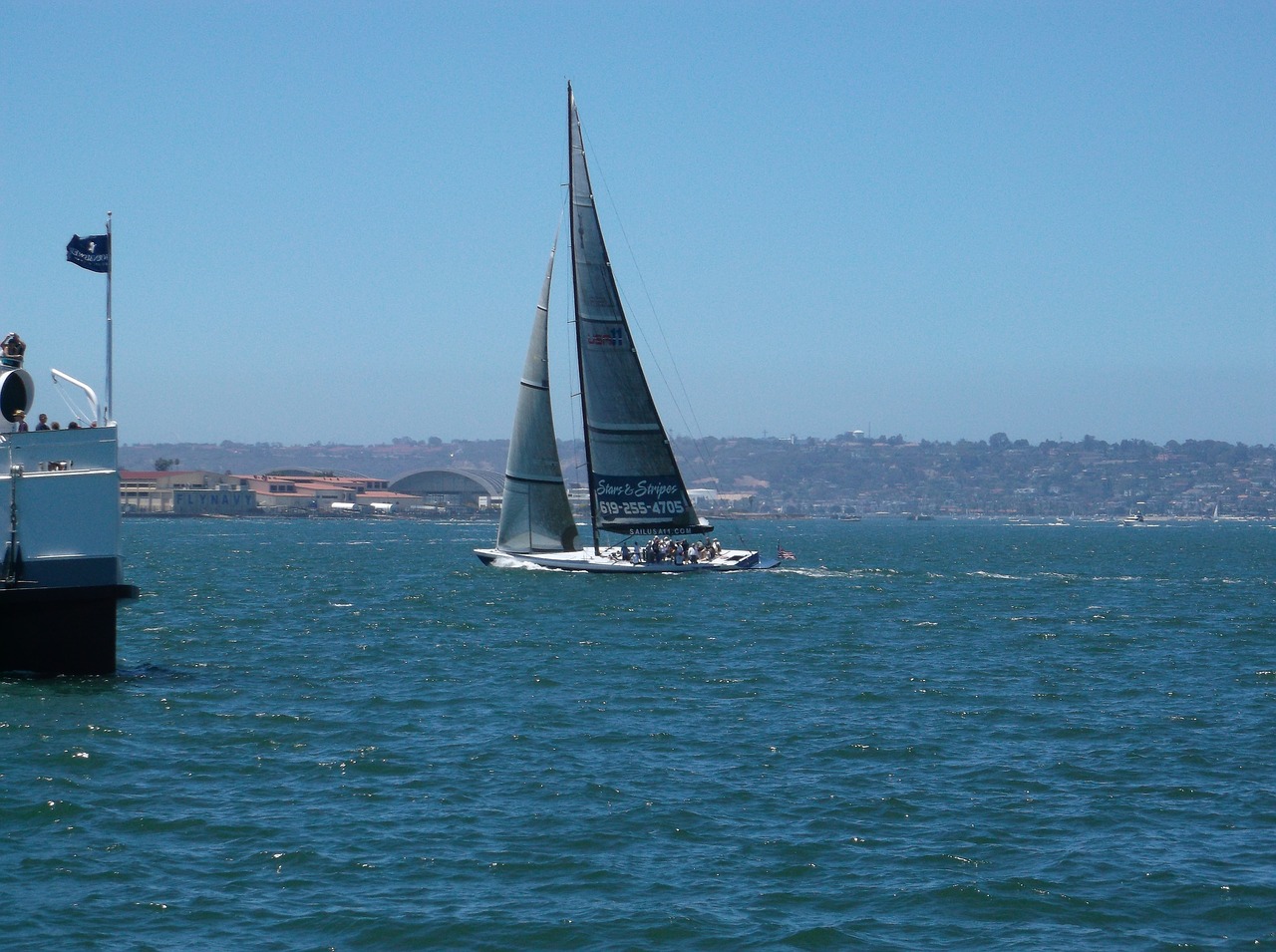 sailboat california water free photo