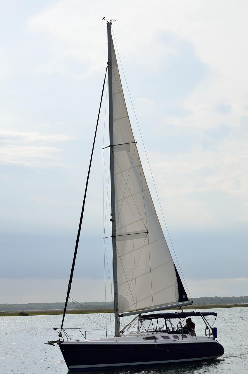 sailboat cruising sailing free photo