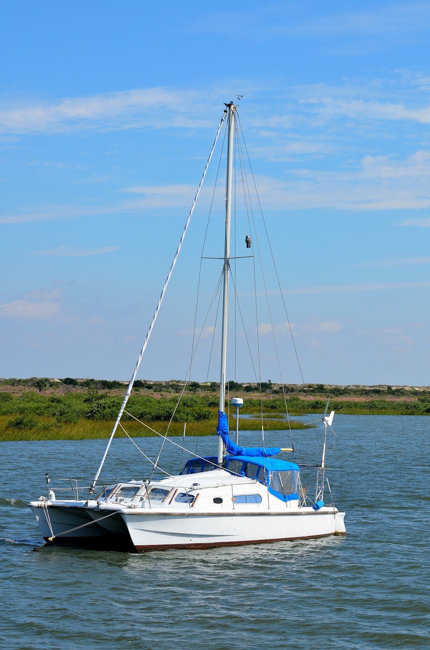 sailboat moored secured free photo