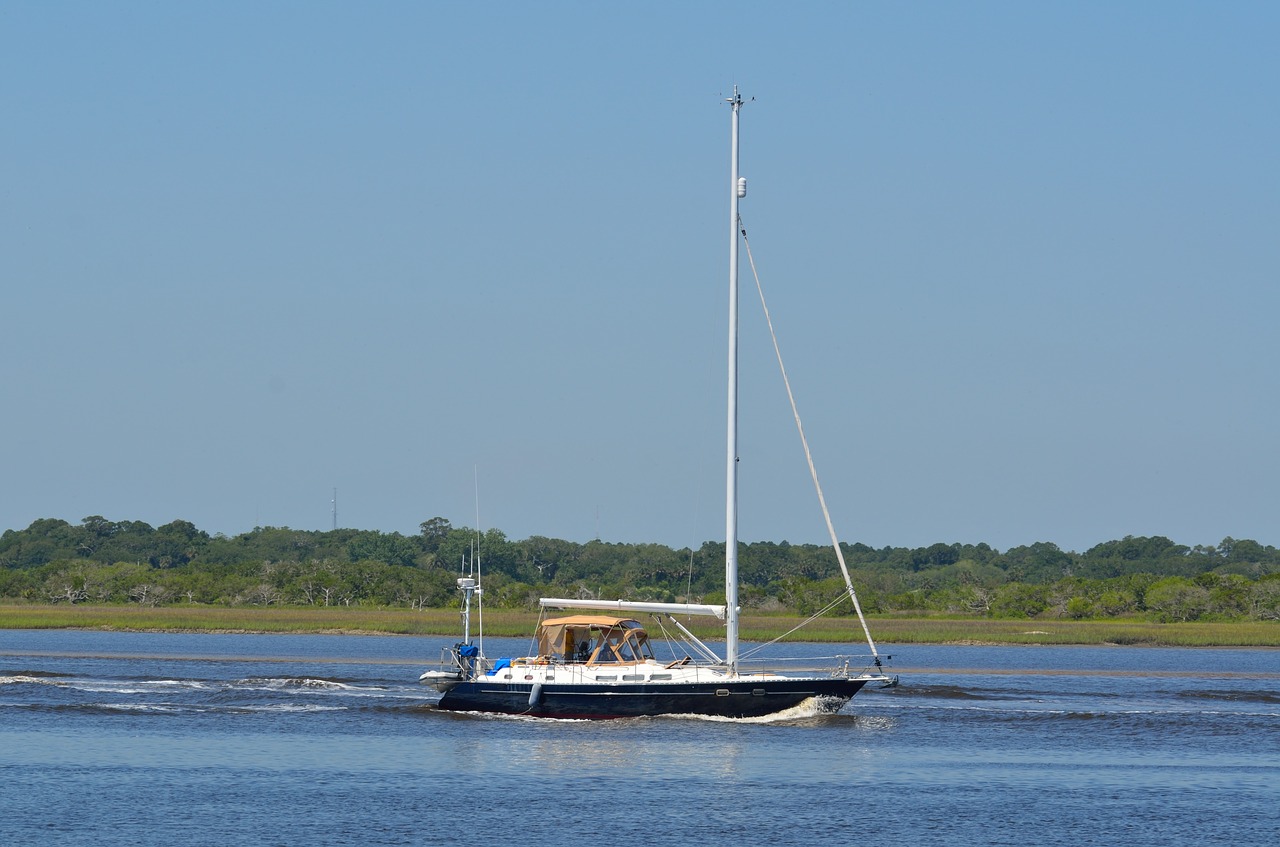 sailboat sailing river free photo