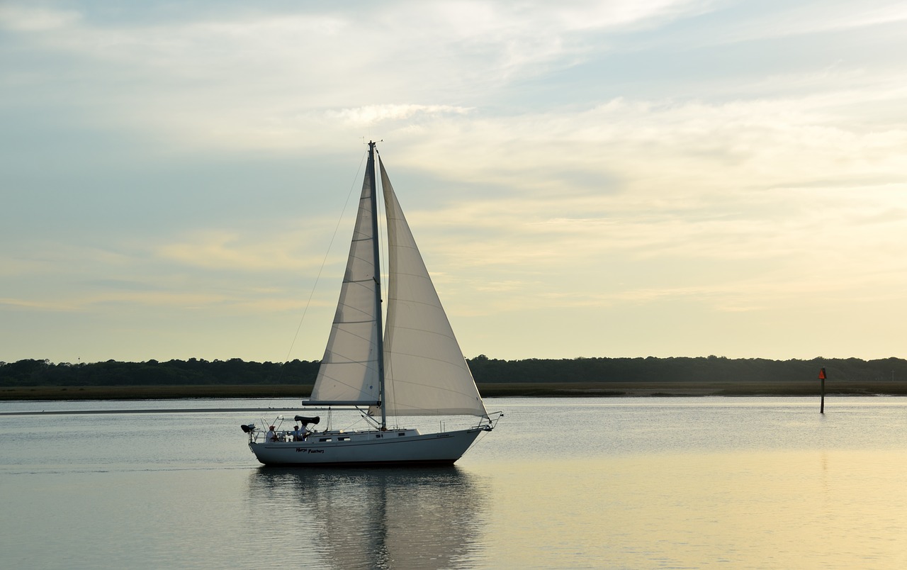 sailboat sailing river free photo