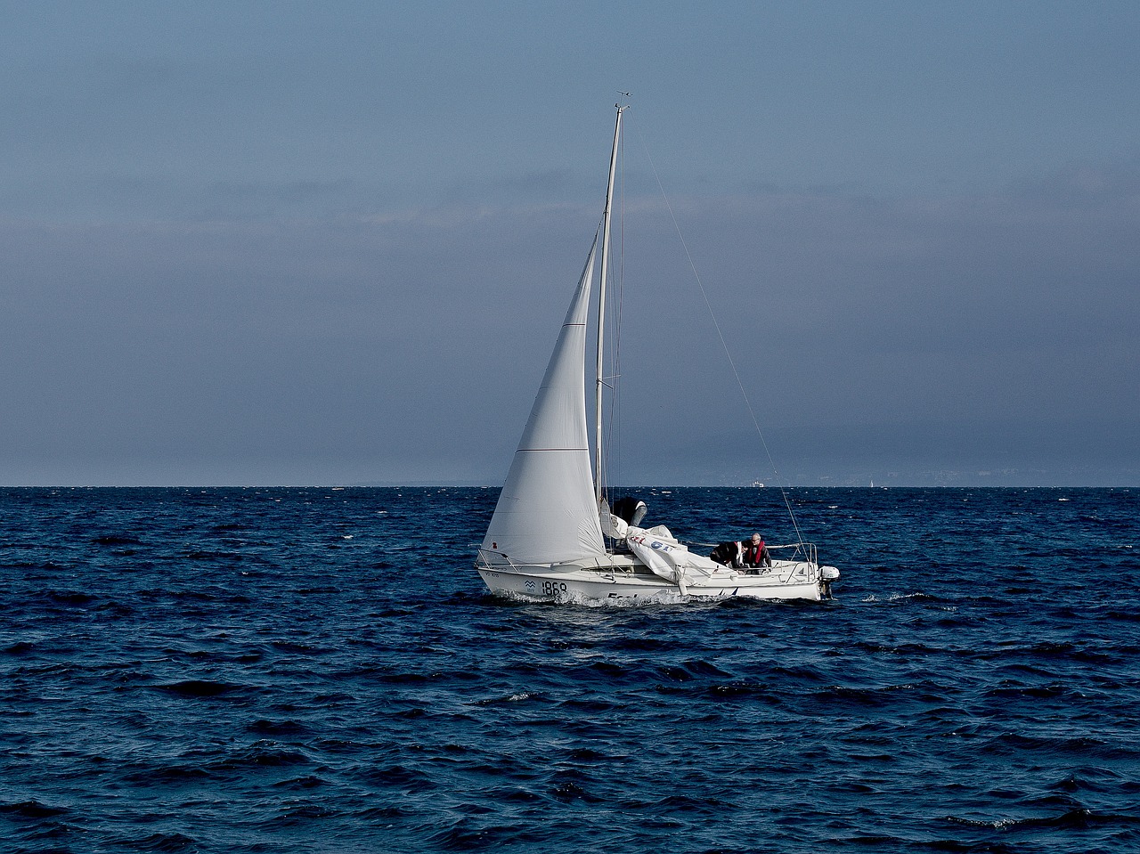 sailboat sailing ocean free photo