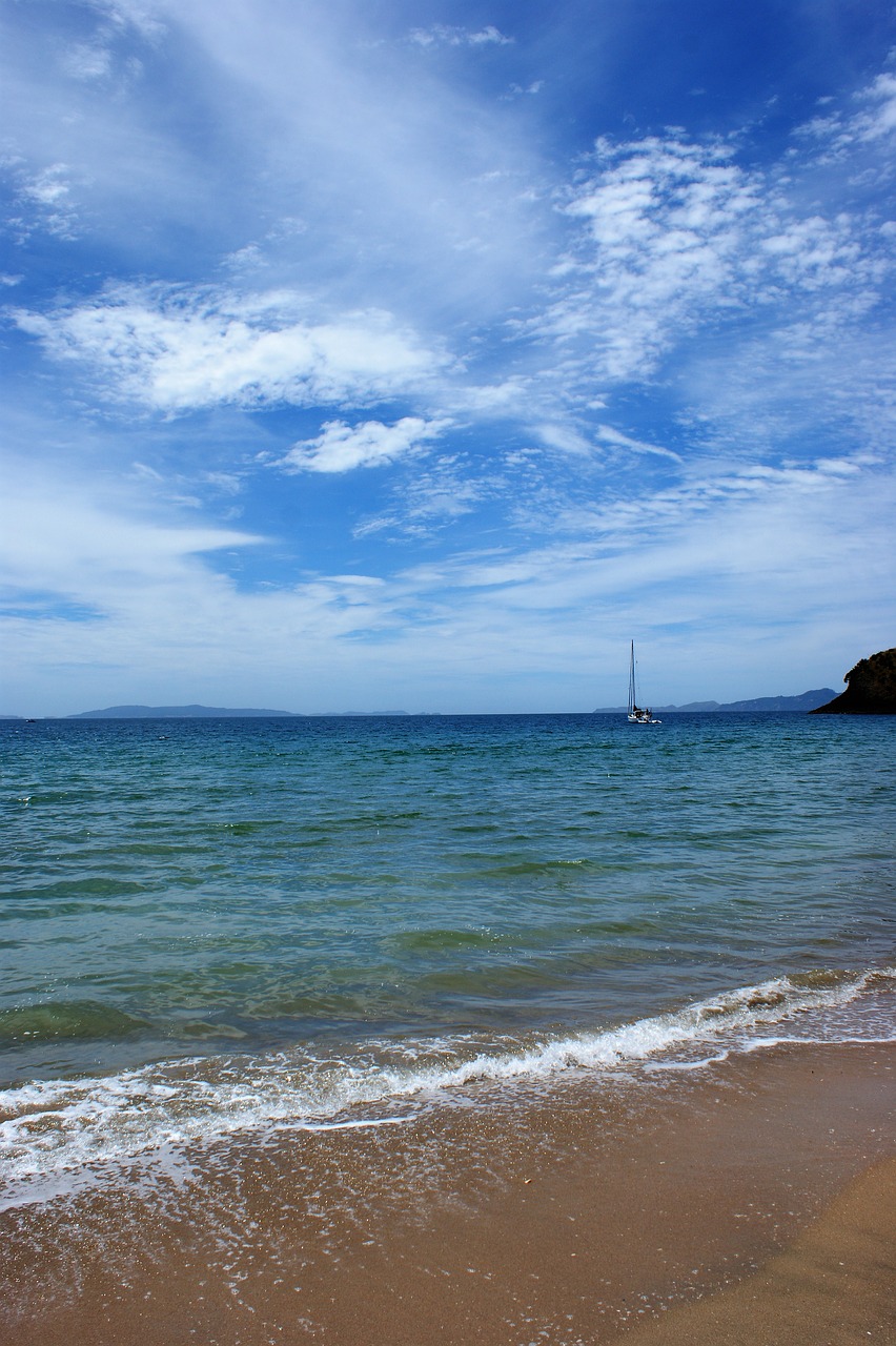 sailboat beach sky free photo