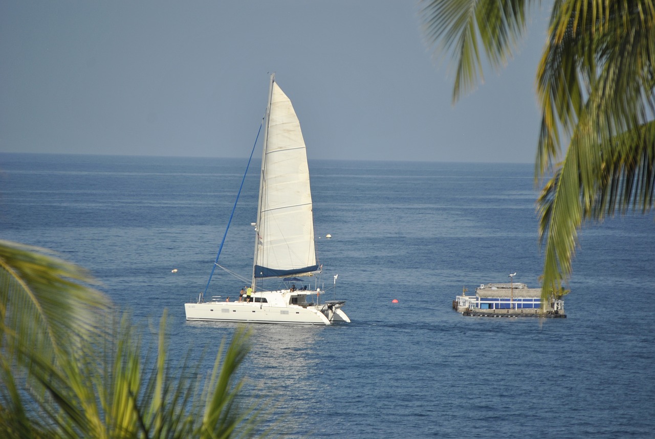 sailboat ocean hawaii free photo