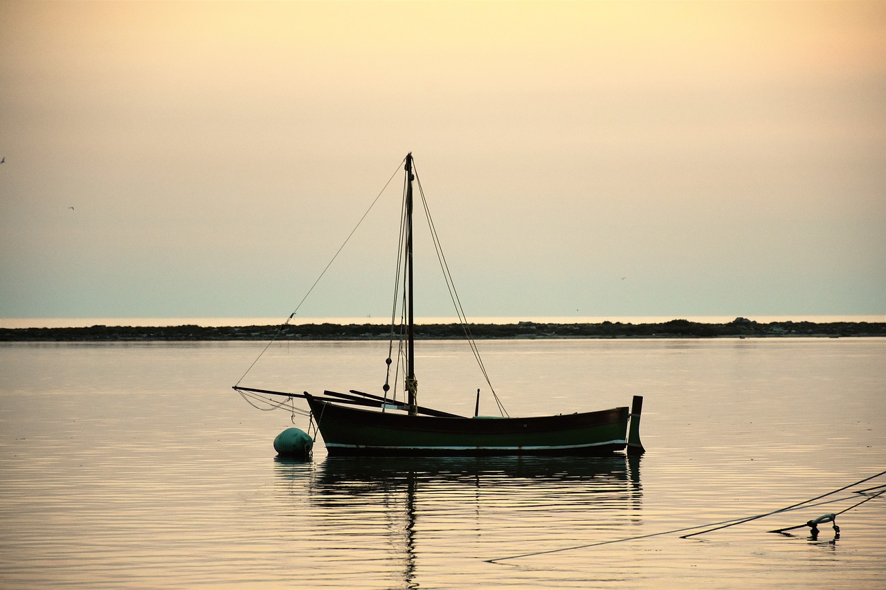 sailboat sunset evening sun free photo