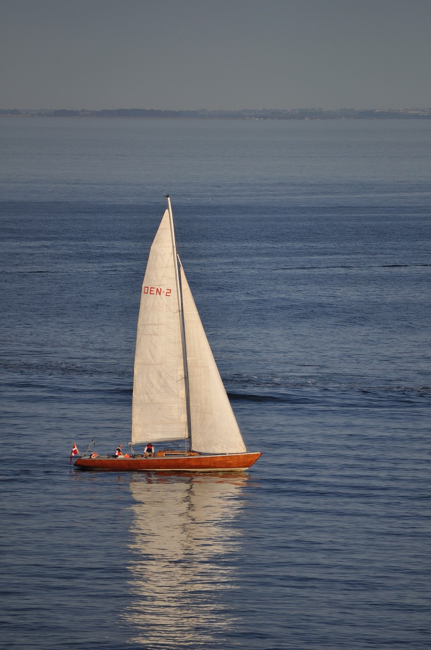 sailboat wind water free photo