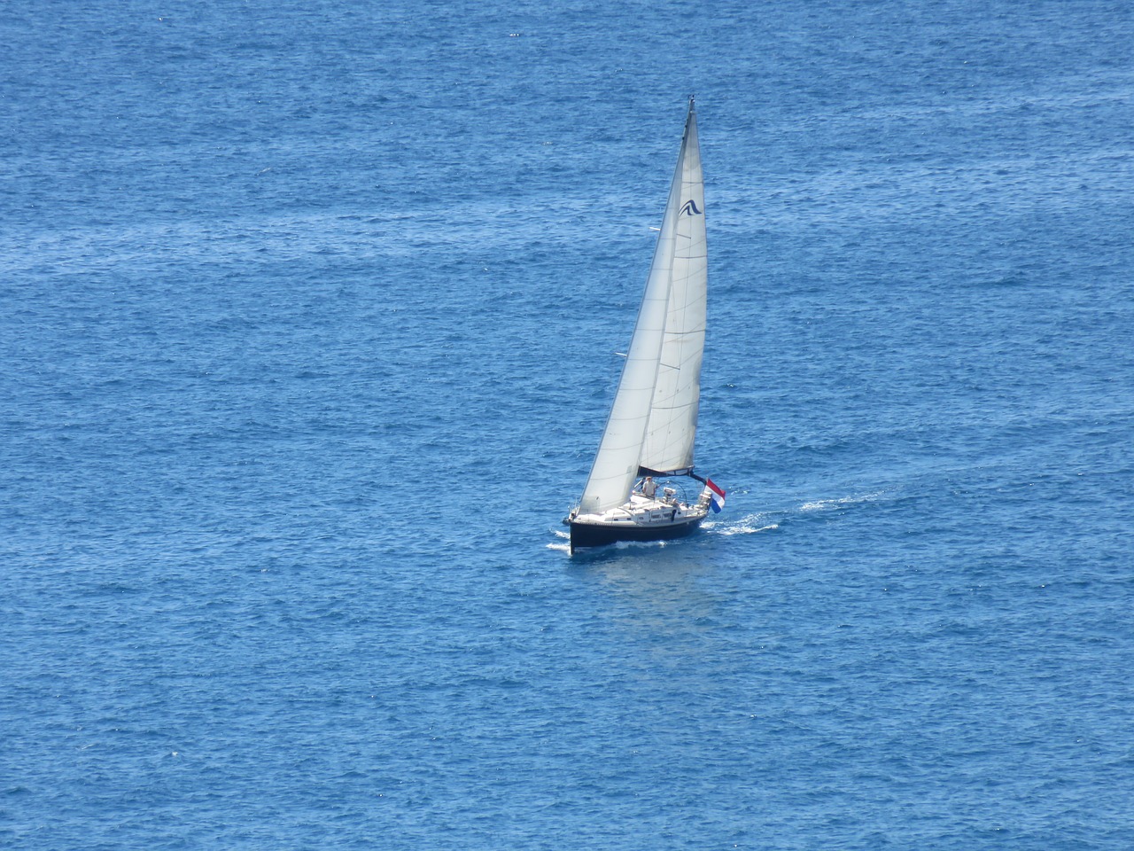 sailboat  body of water  boat free photo