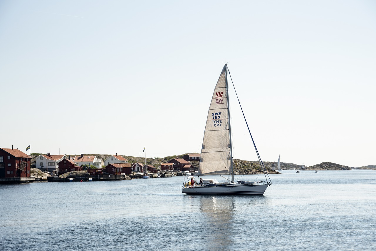 sailboat  sea life  sea free photo