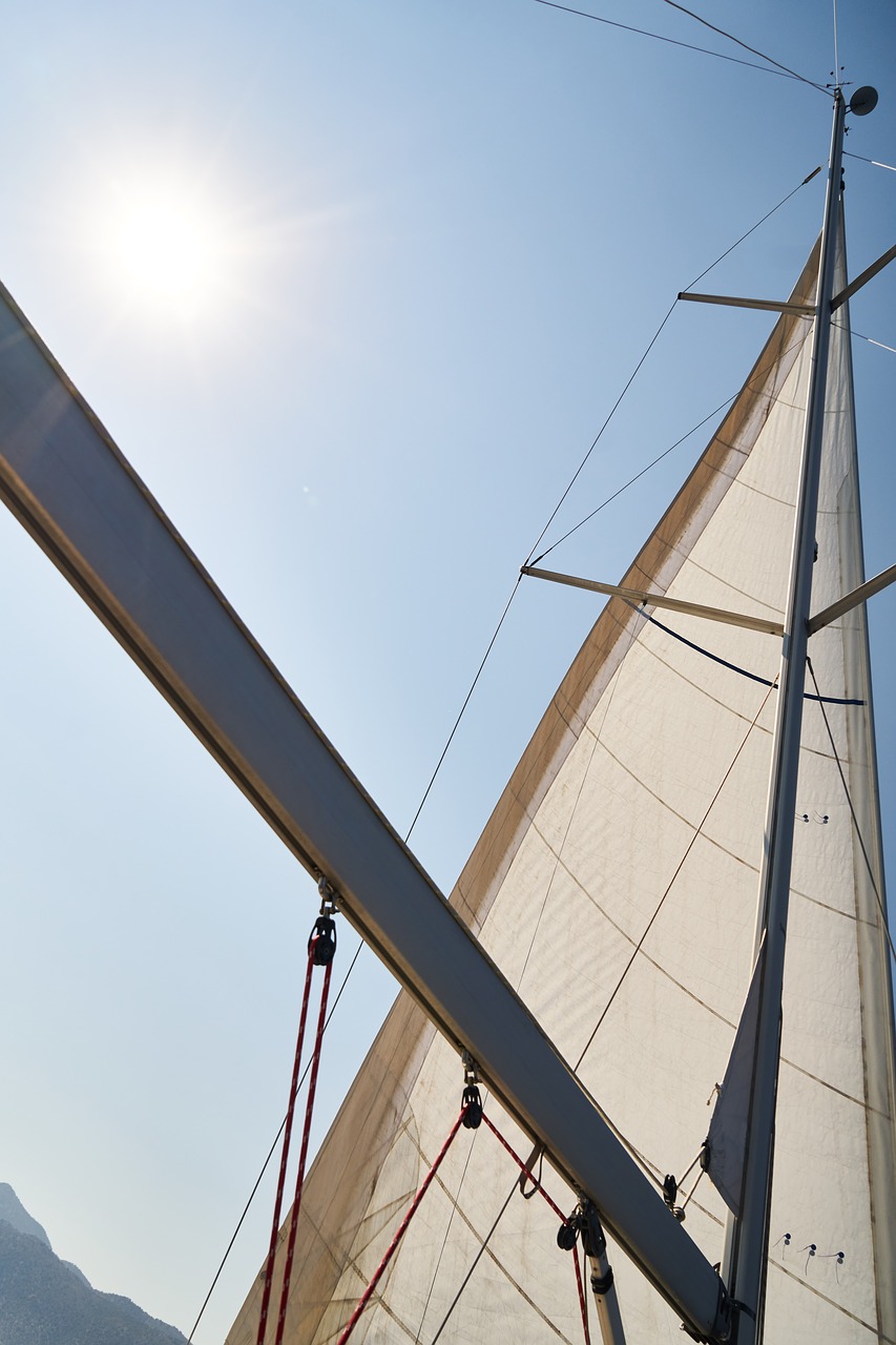 sailboat  go  wind free photo