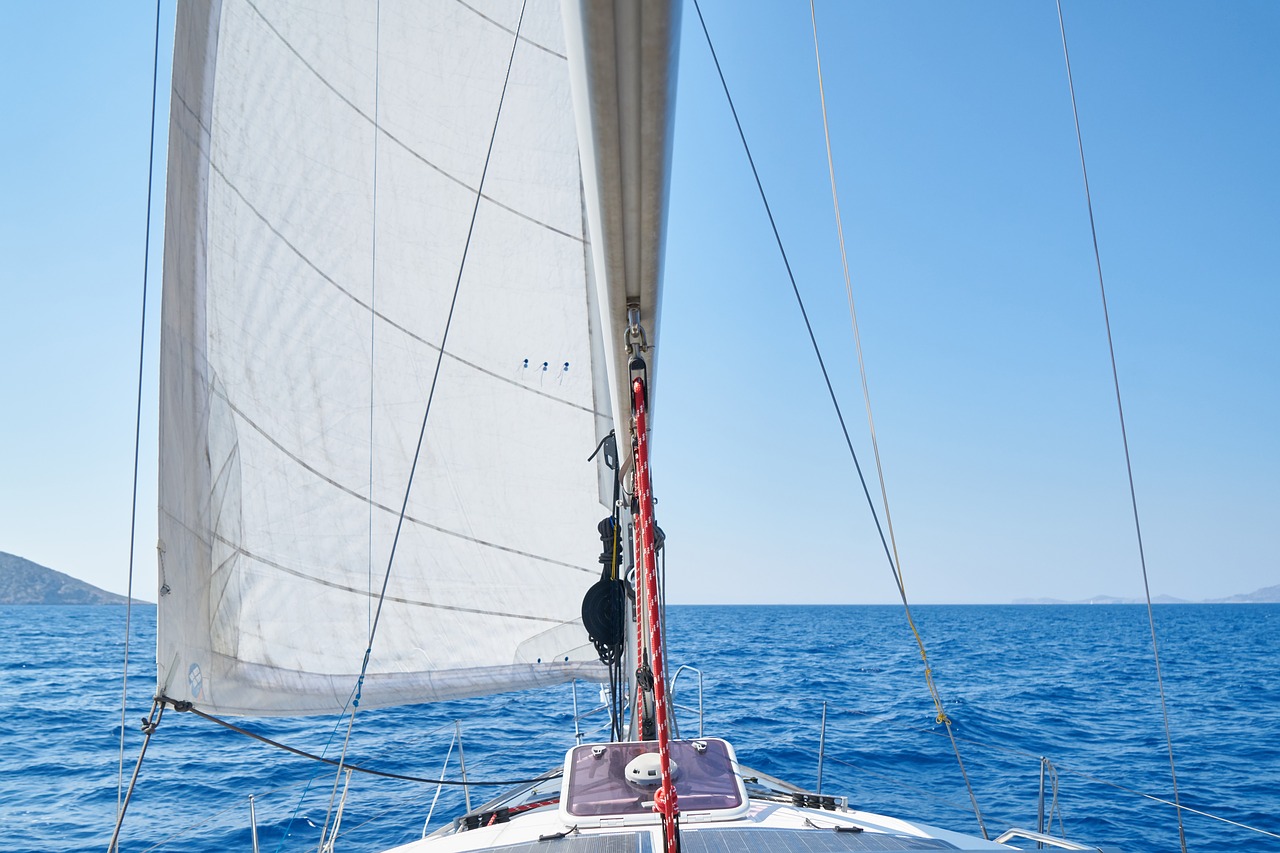 sailboat  go  wind free photo