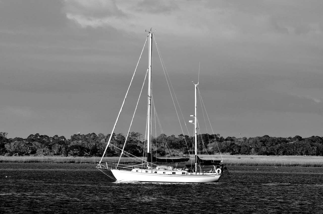 sailboat  sailing  river free photo