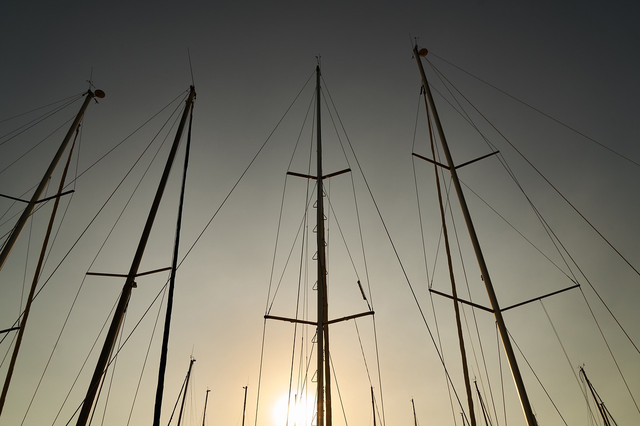 sailboat  direct  sunset free photo