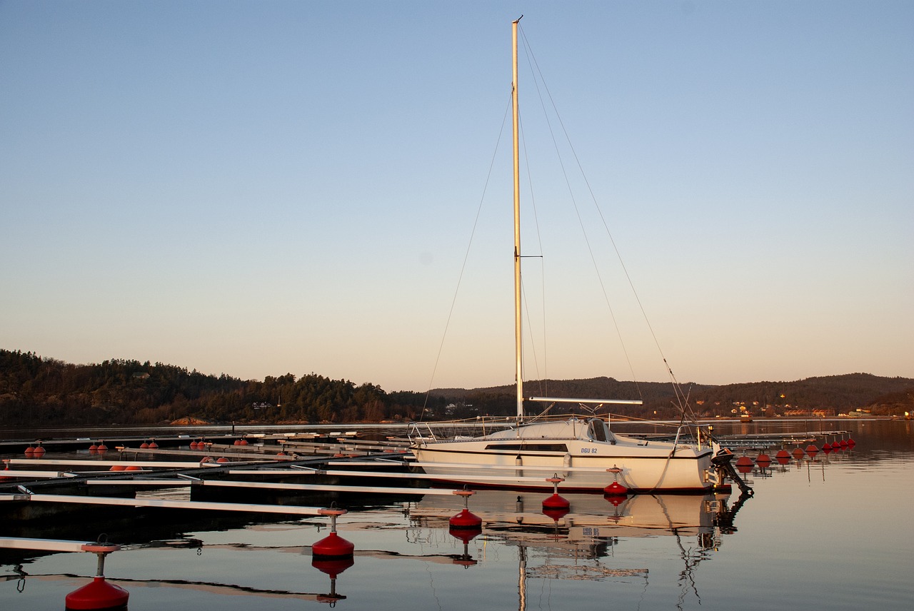 sailboat  port  water free photo