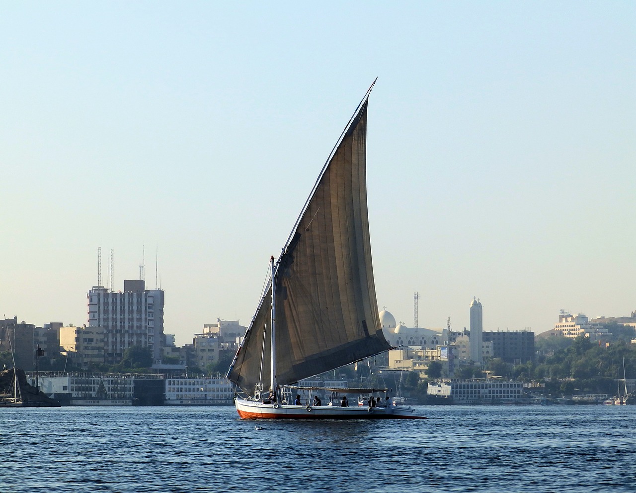 sailboat  the sail  boat free photo