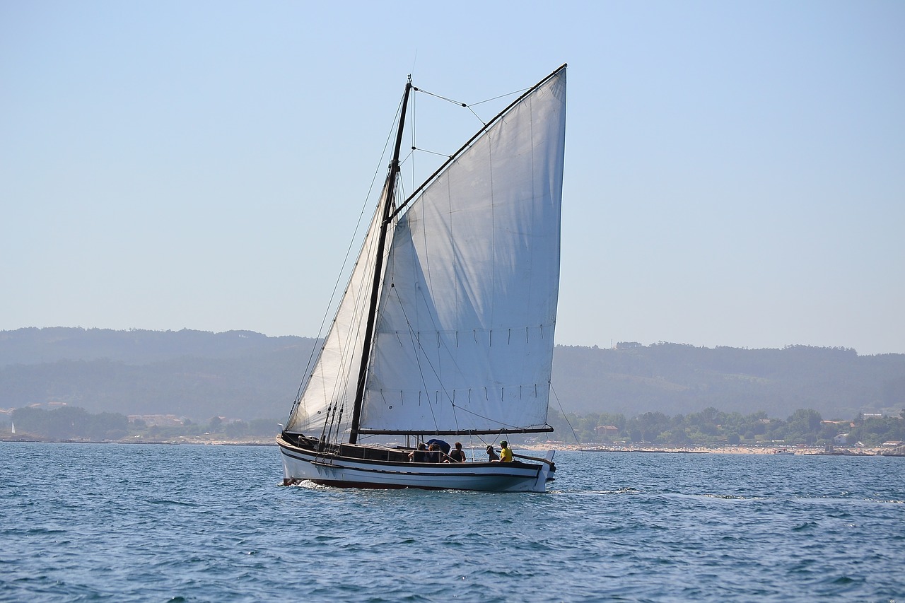 sailboat  boat  sea free photo