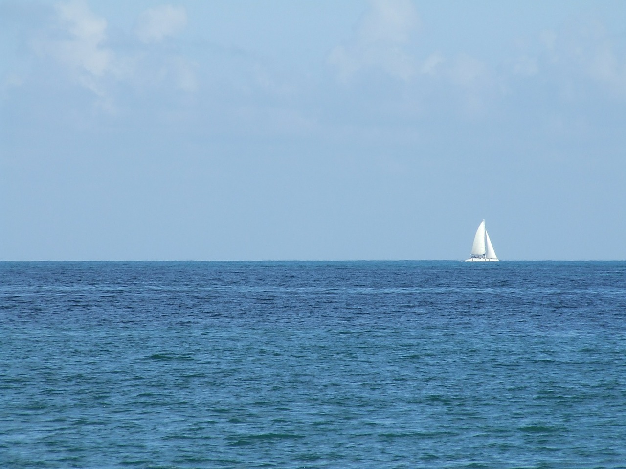 sailboat boat sea free photo