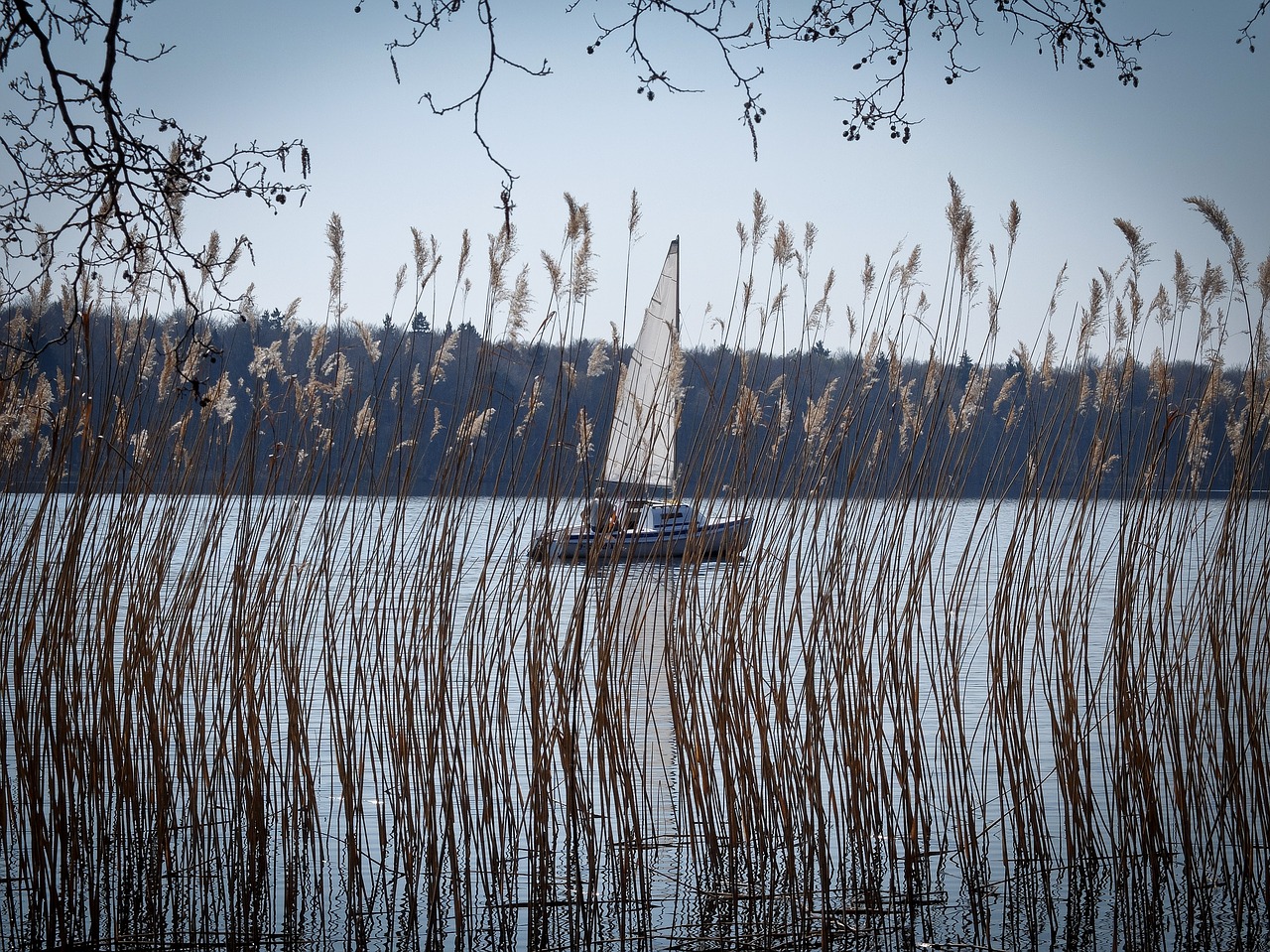 sailboat  boat  lake free photo