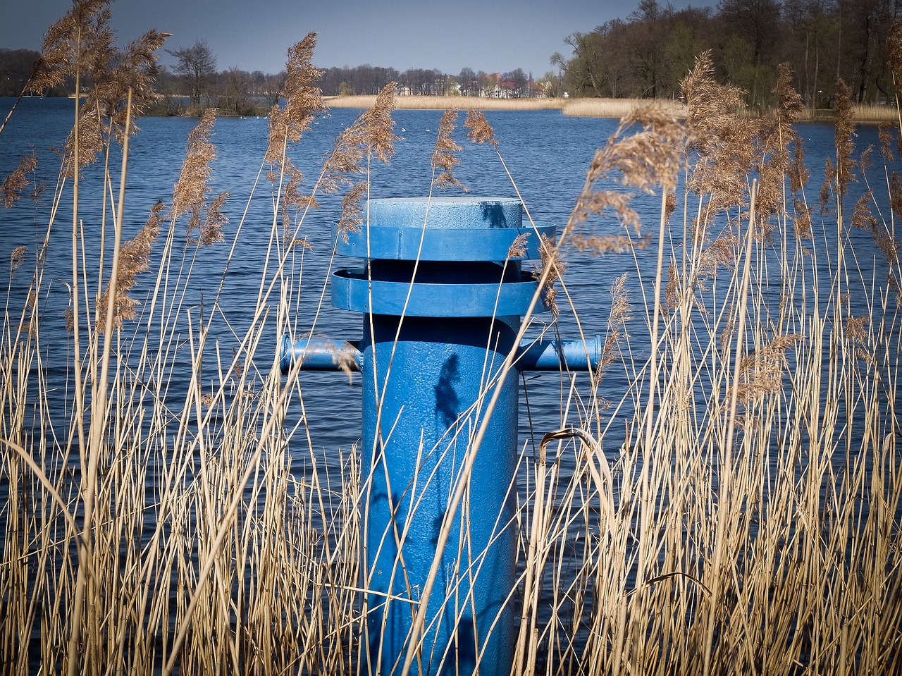 sailboat  boat  lake free photo