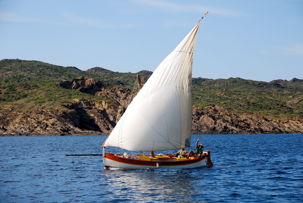sailboat summer browse free photo