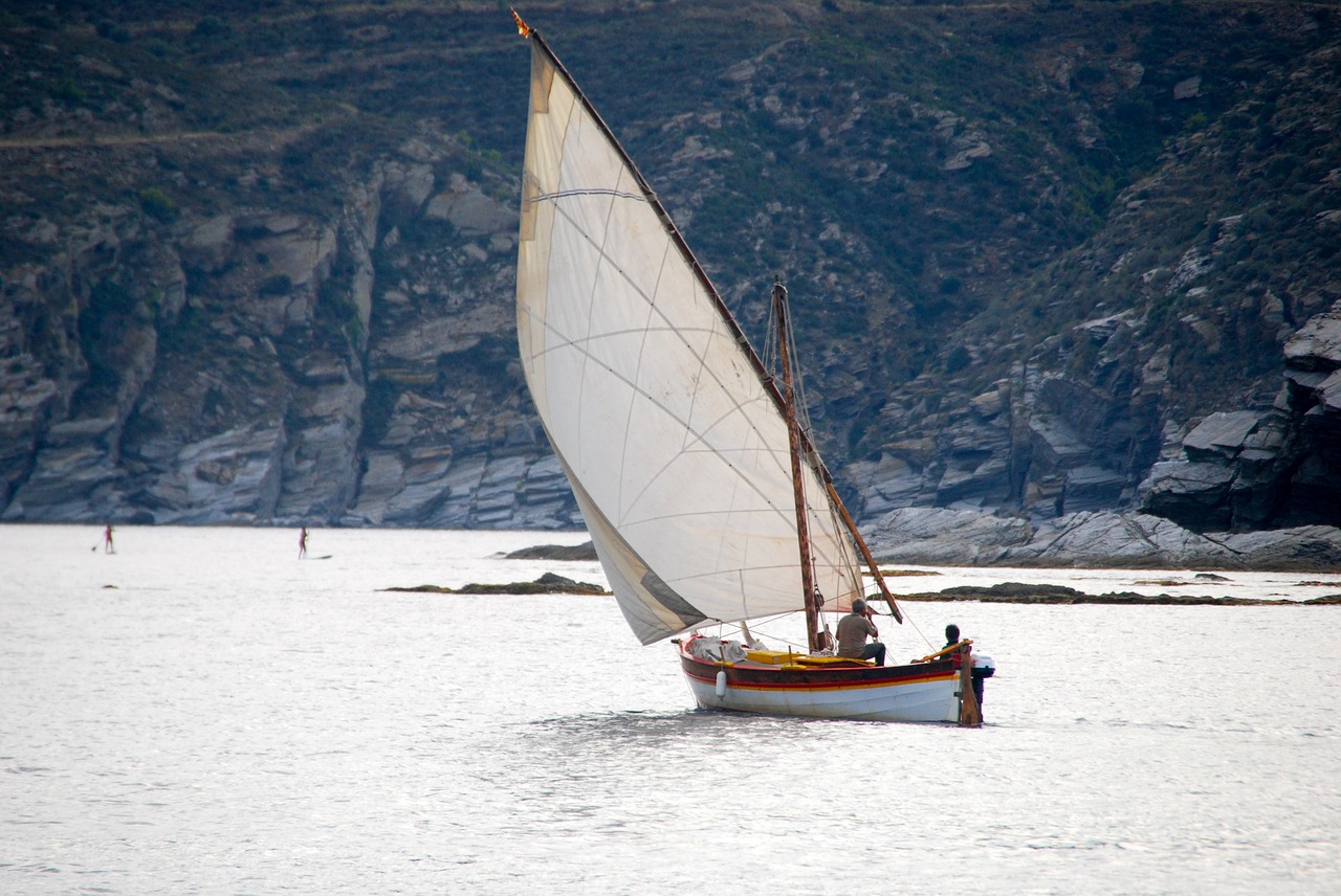 sailboat browse summer free photo