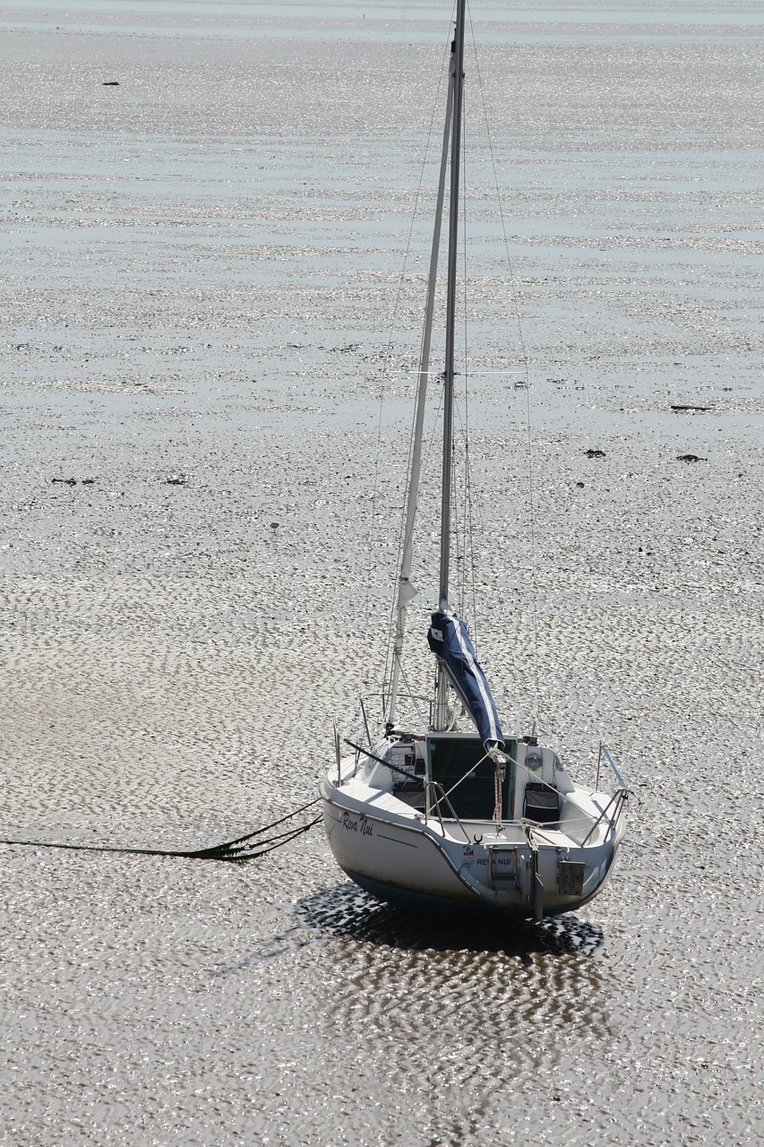 sailboat tide france free photo