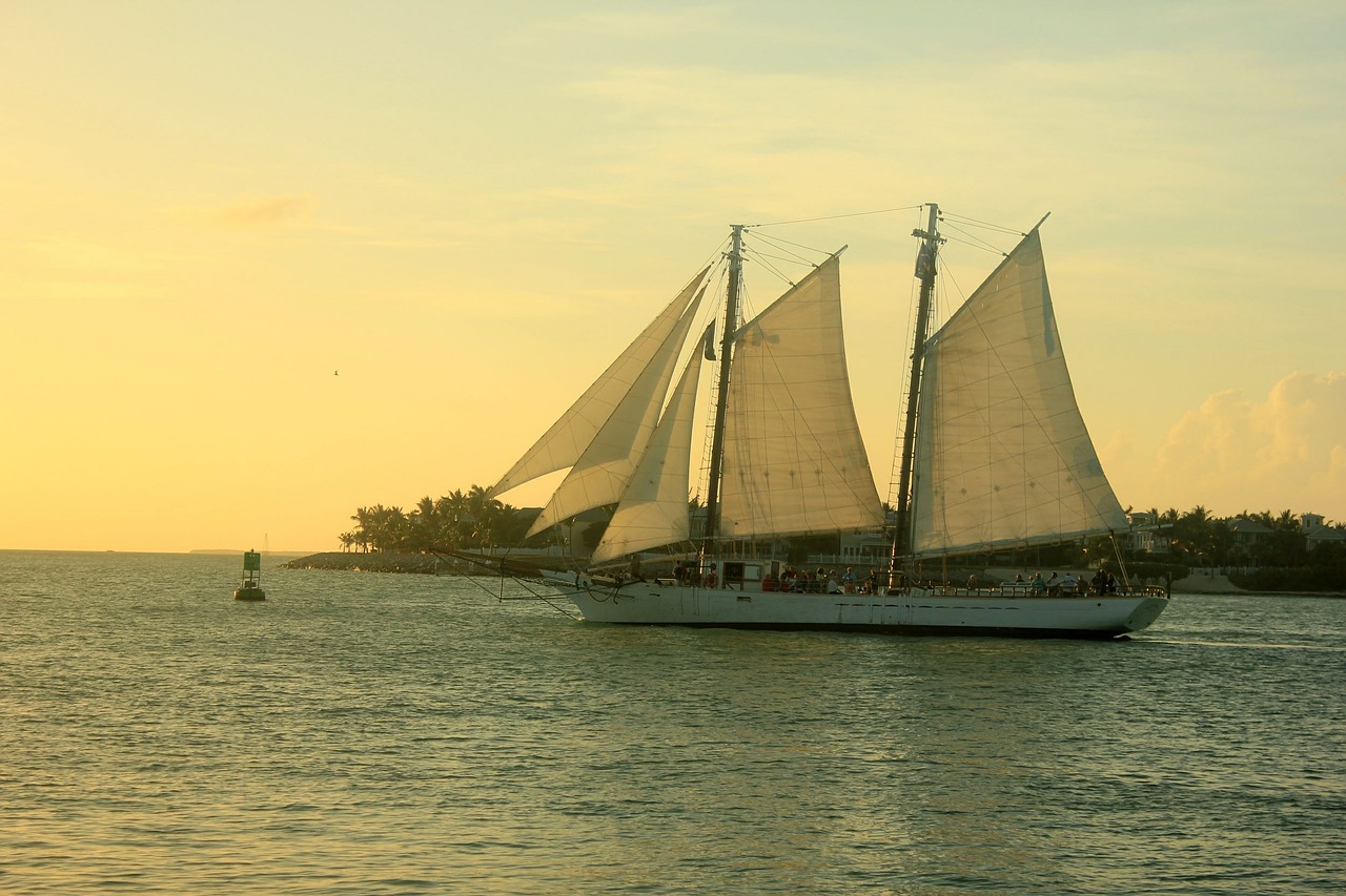 sailboat sunset water free photo