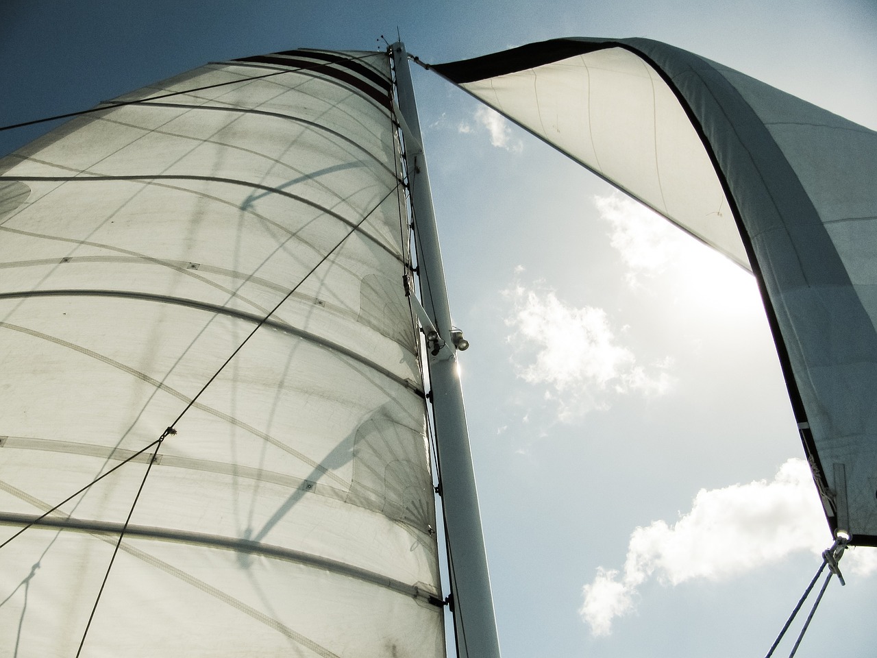 sailboat sails sky free photo