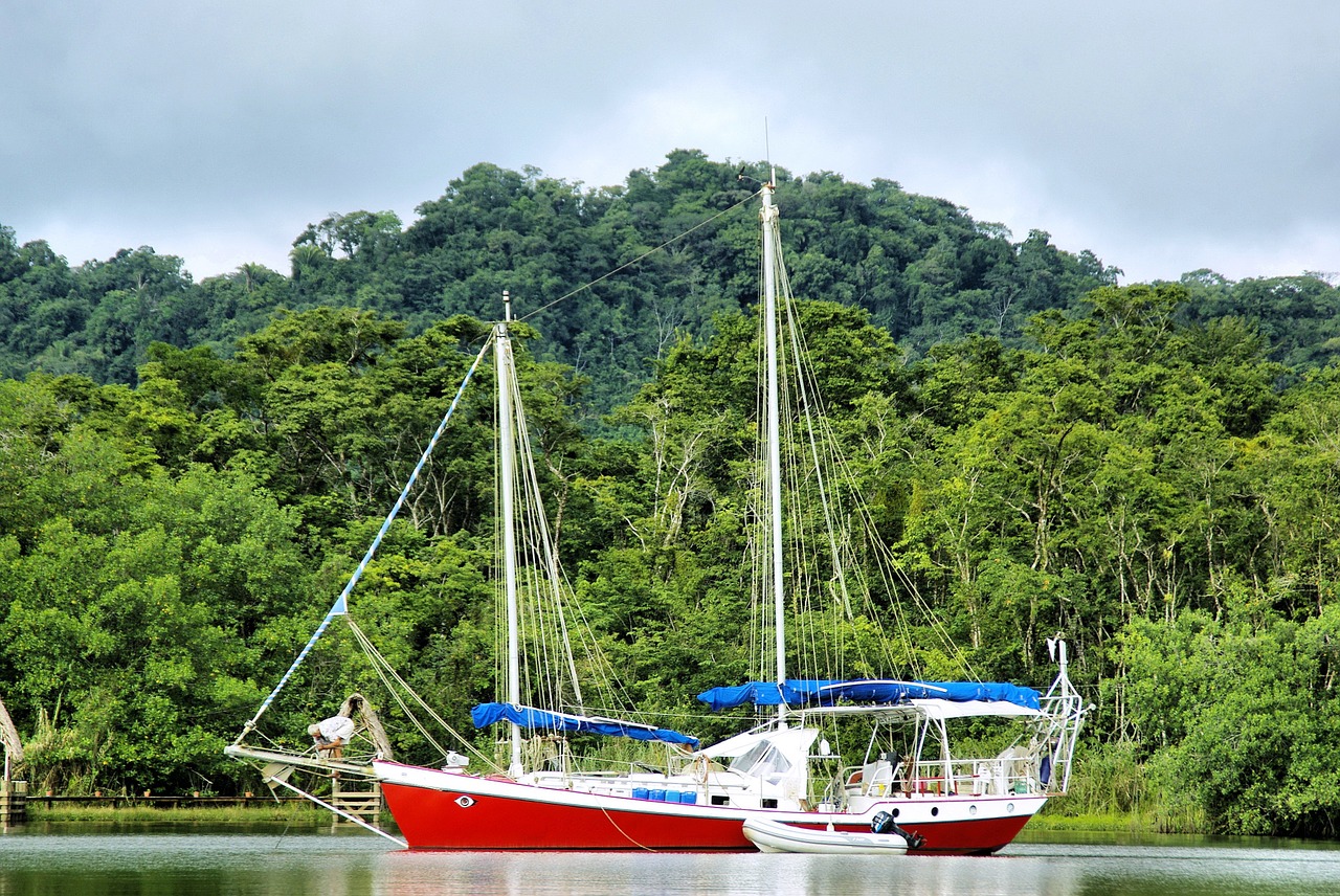 sailboat river rainforest free photo