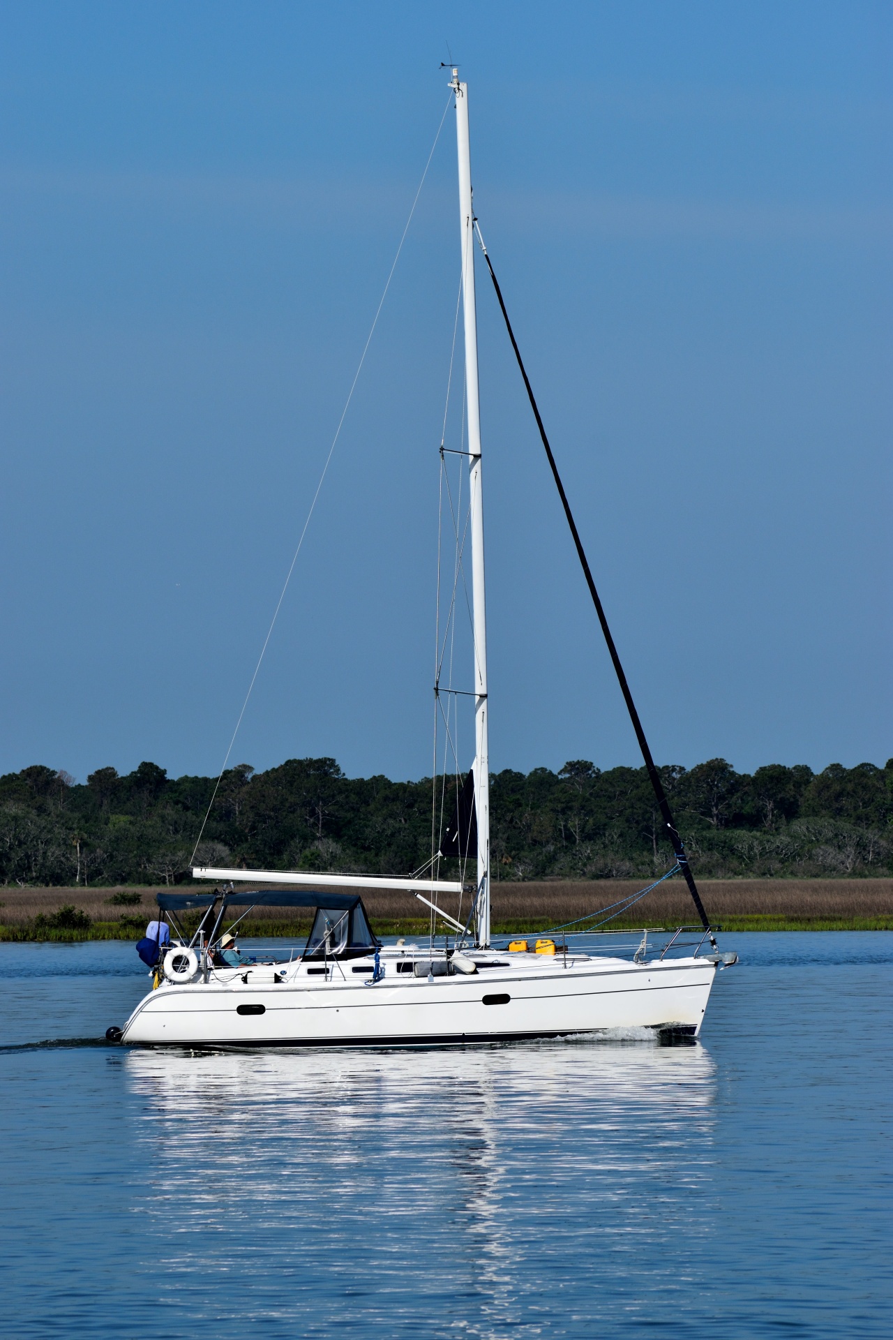 water sailboat yacht free photo