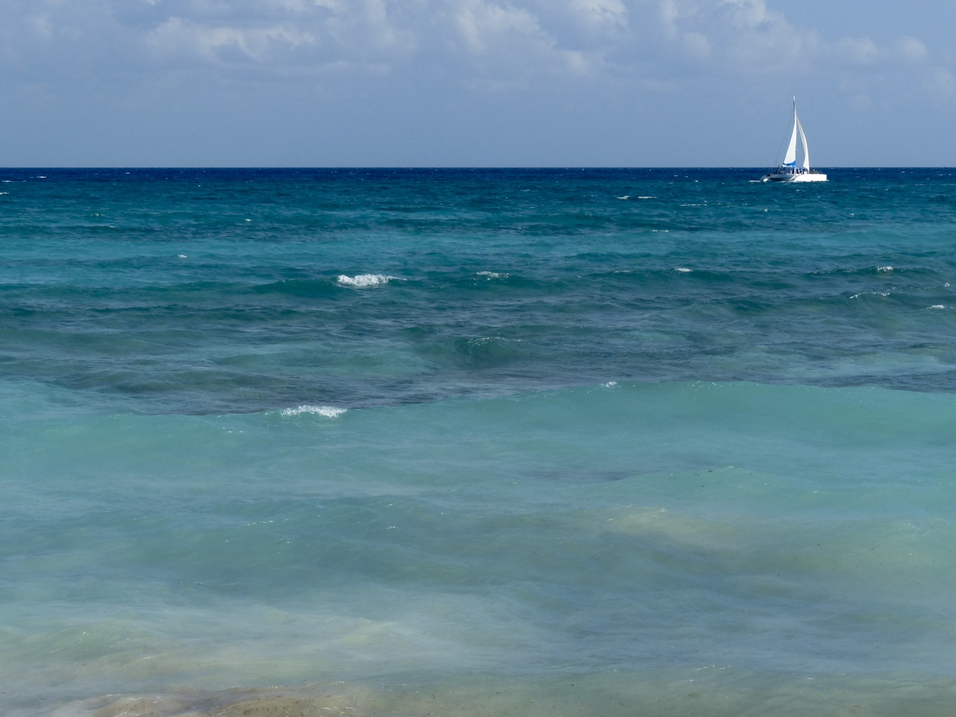 sailboat beach ocean free photo