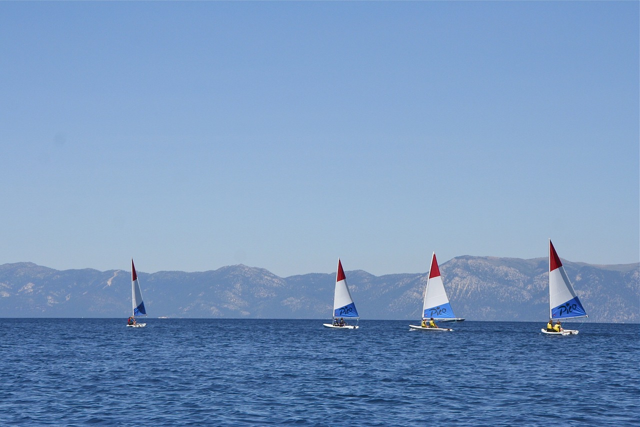 sailboats sails lake free photo