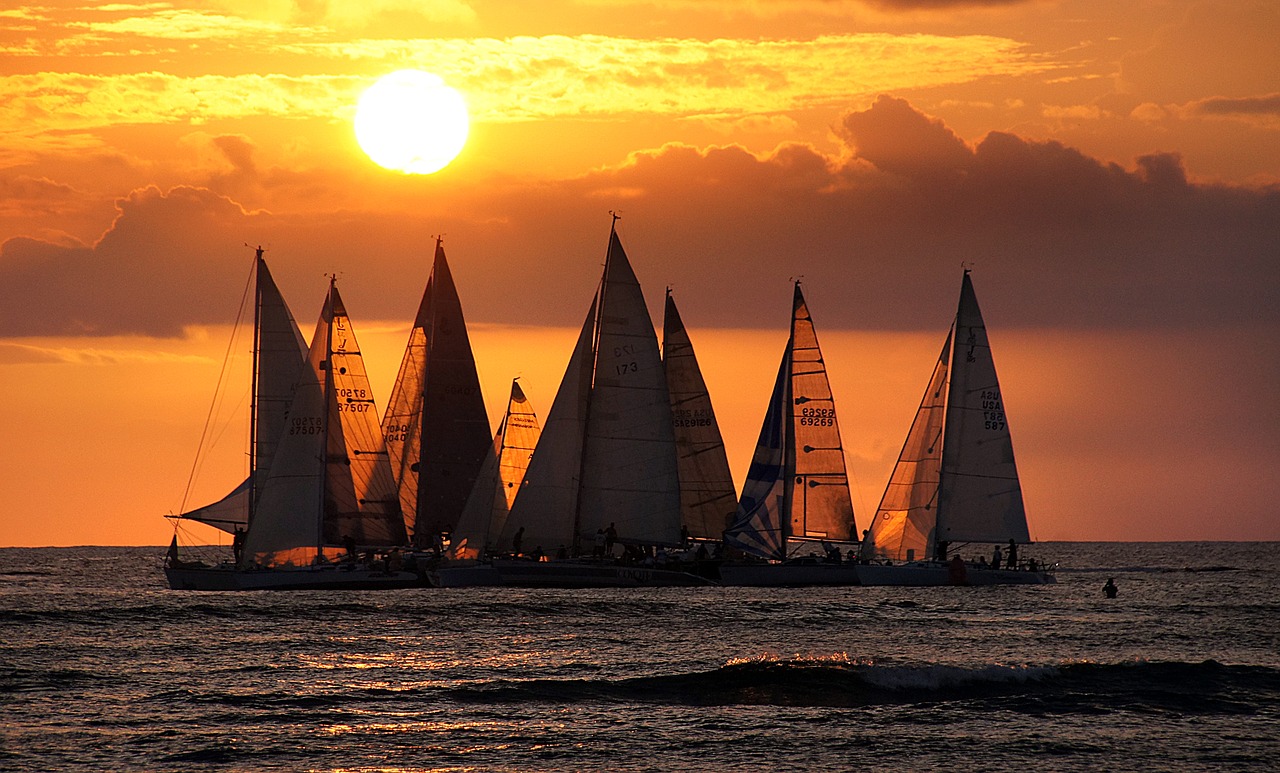 sailboats sailing water free photo