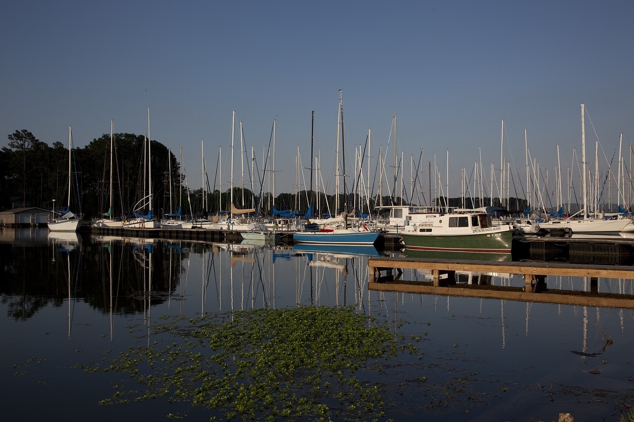 sailboats lake vessels free photo