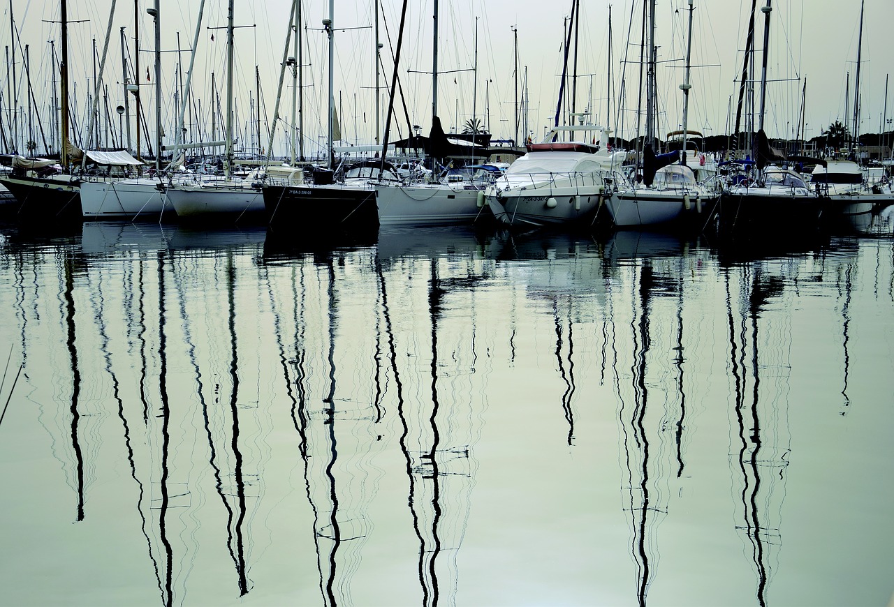 sailboats moored jetty free photo