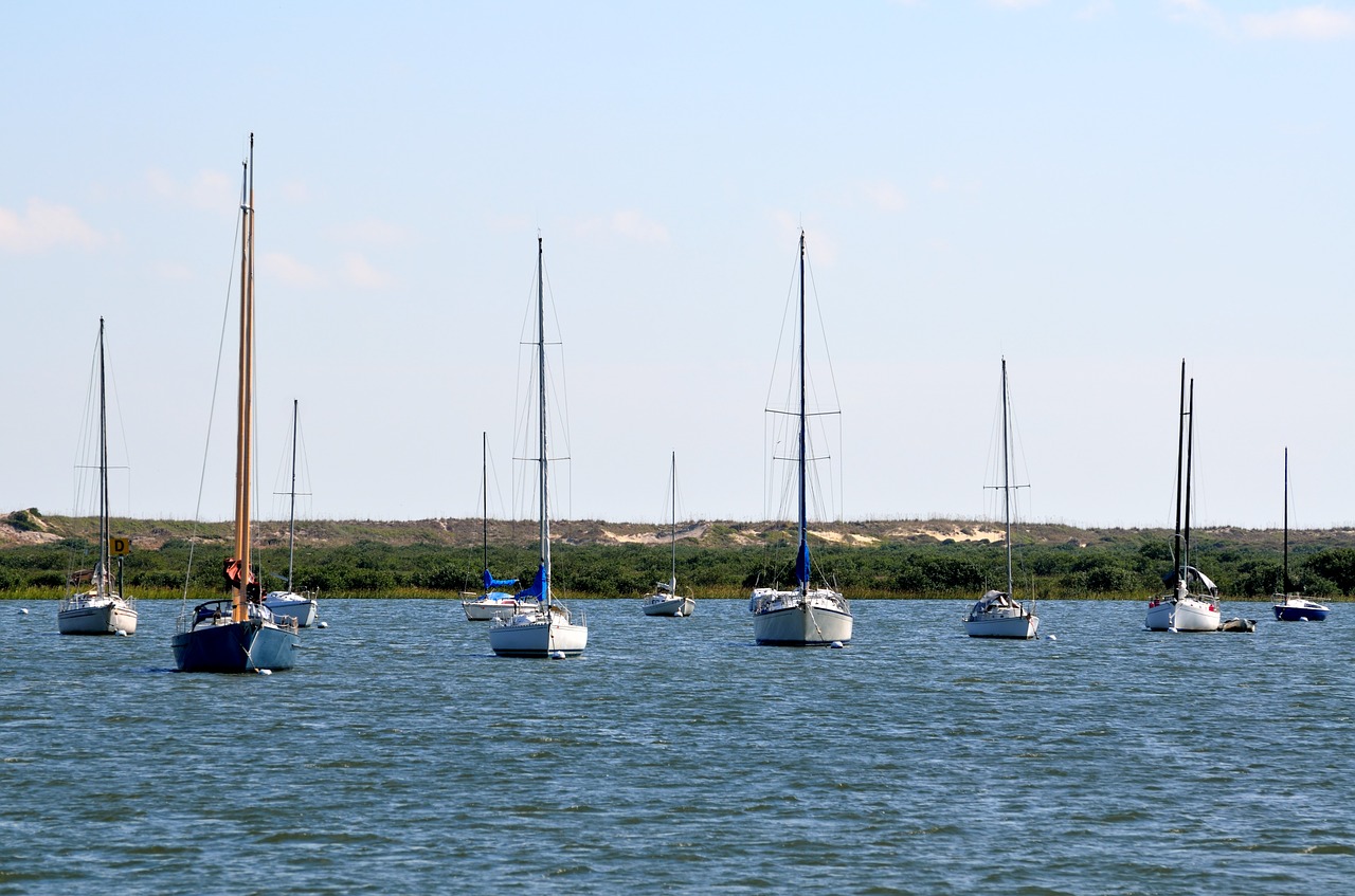 sailboats moored river free photo