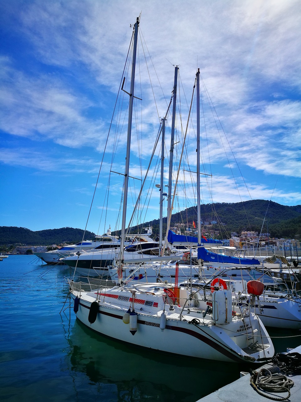 sailboats  boat  sea free photo