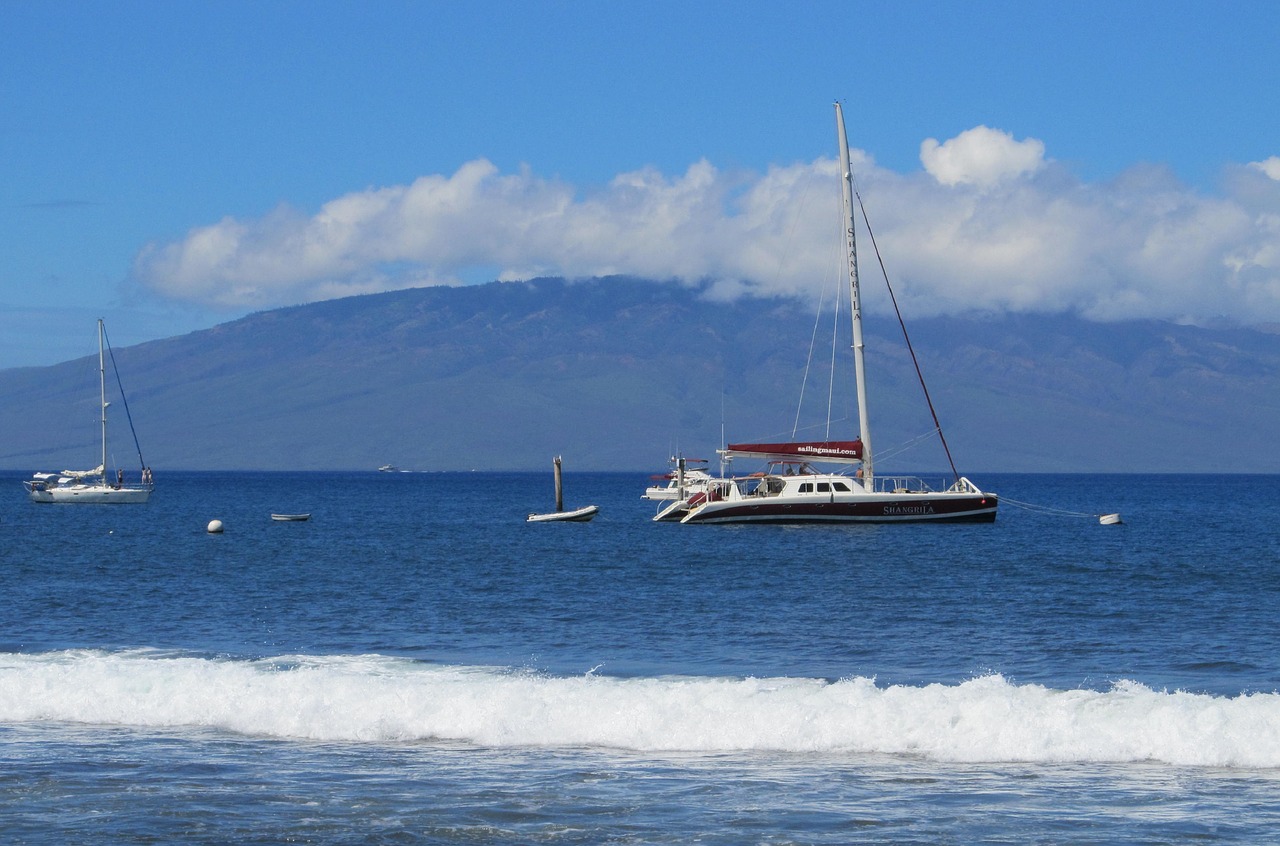 sailboats  vessels  seascape free photo