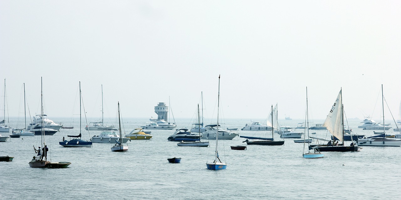 sailboats boats ships free photo