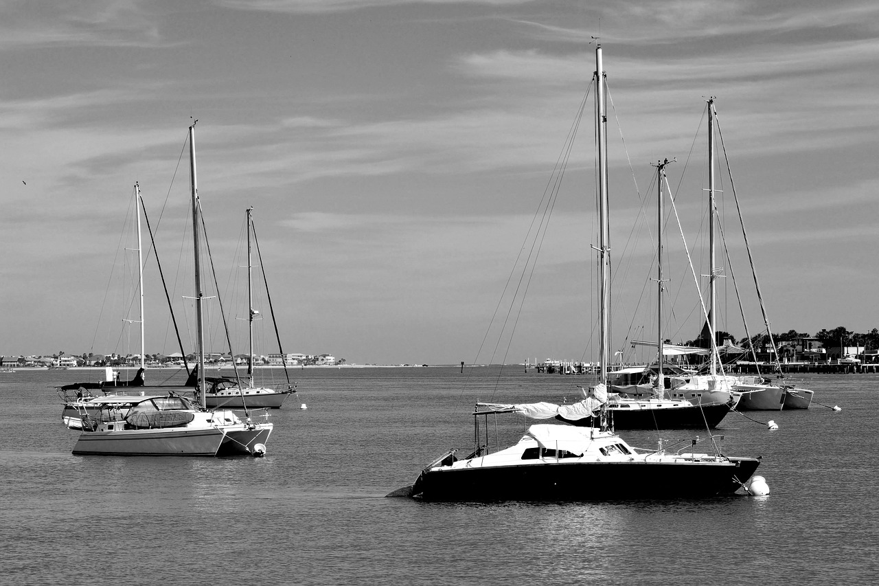 sailboats  river  moored free photo