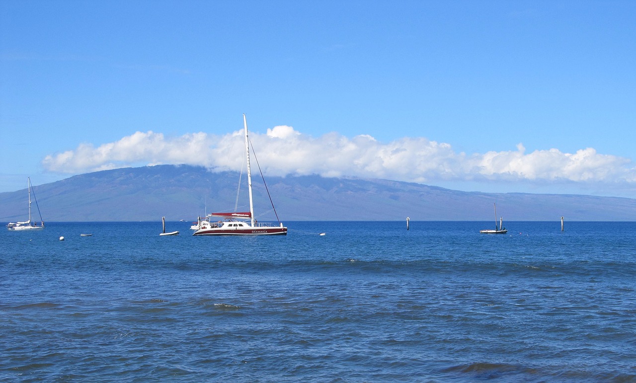 sailboats  vessels  seascape free photo