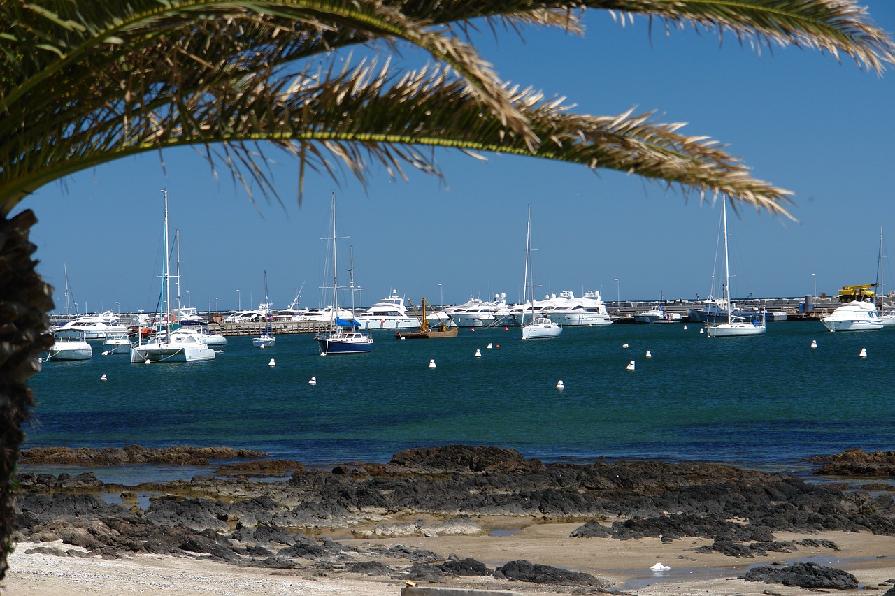 sailboats  sea  boat free photo