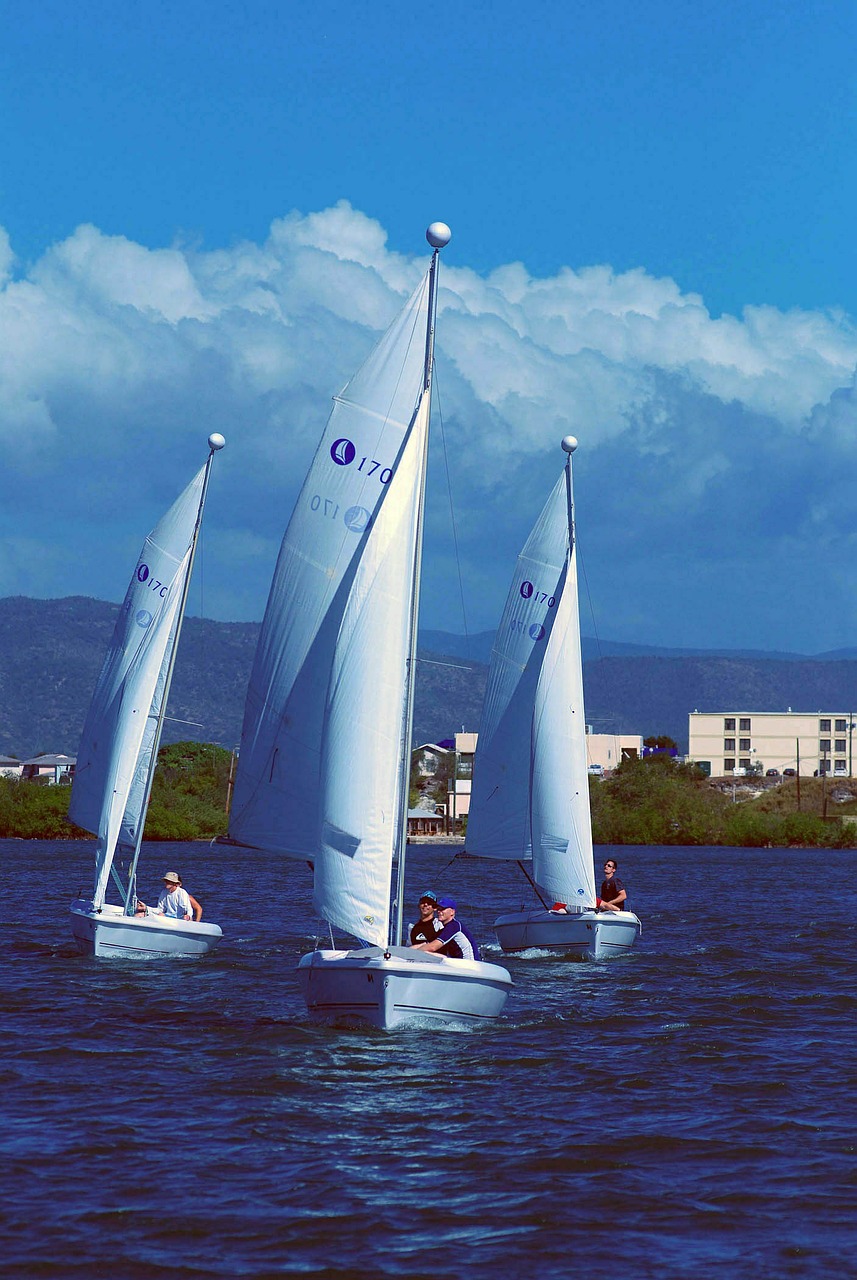 sailboats sailing ocean free photo