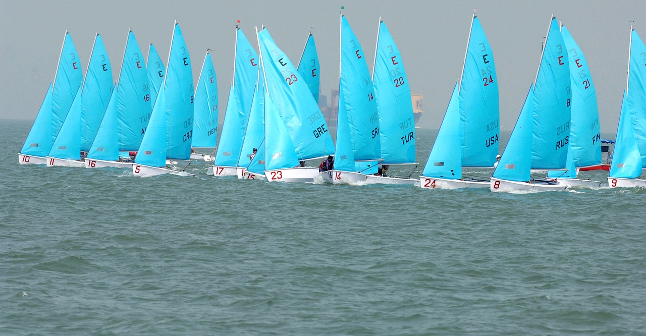 sailboats race competition free photo
