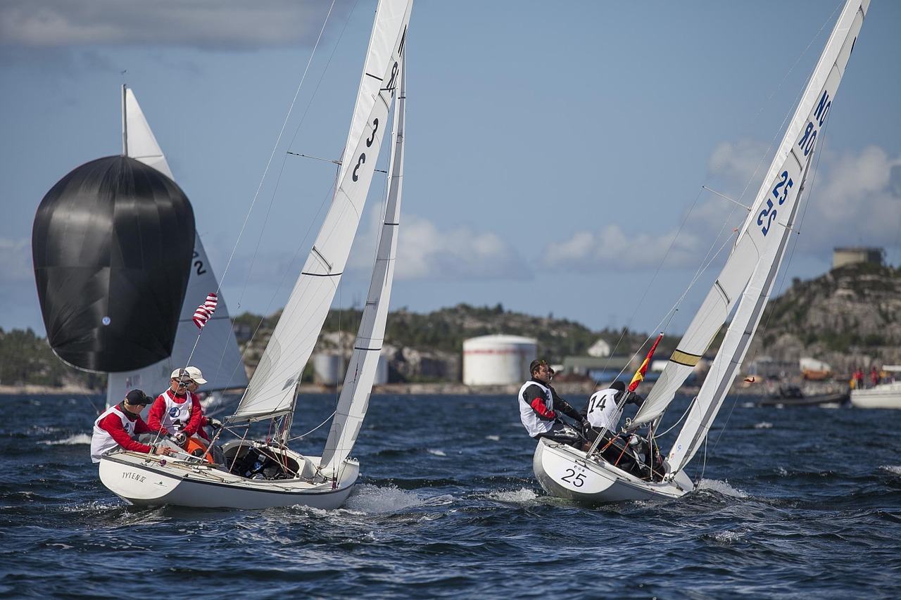 sailboats racing competition free photo