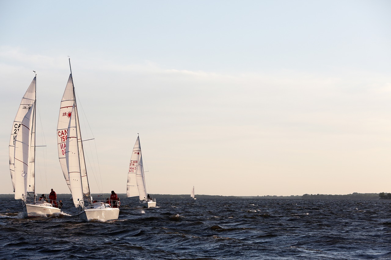 sailboats ocean sea free photo