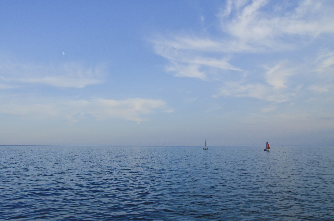 sailboats ocean sea free photo