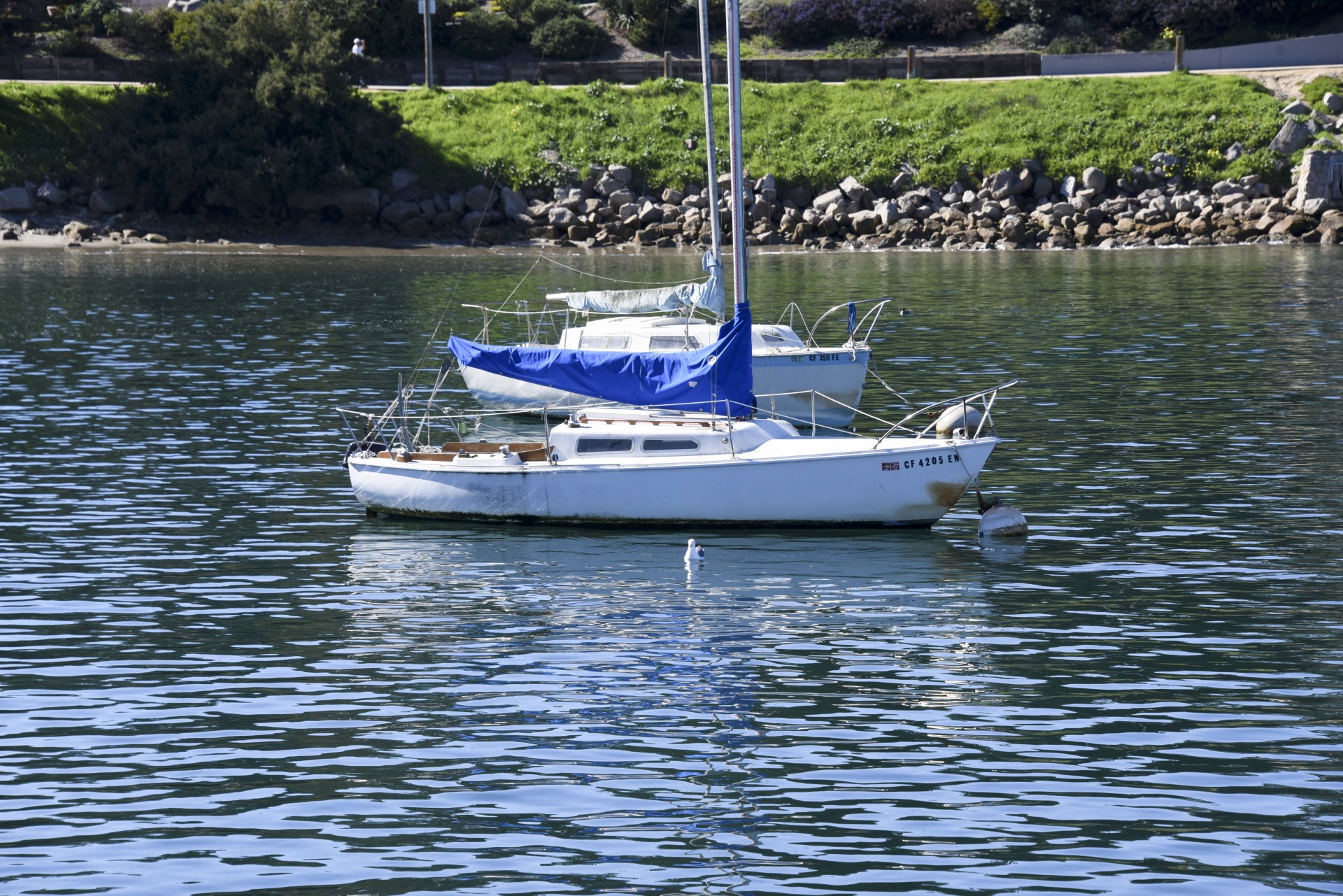 sailboat sailboats anchored free photo