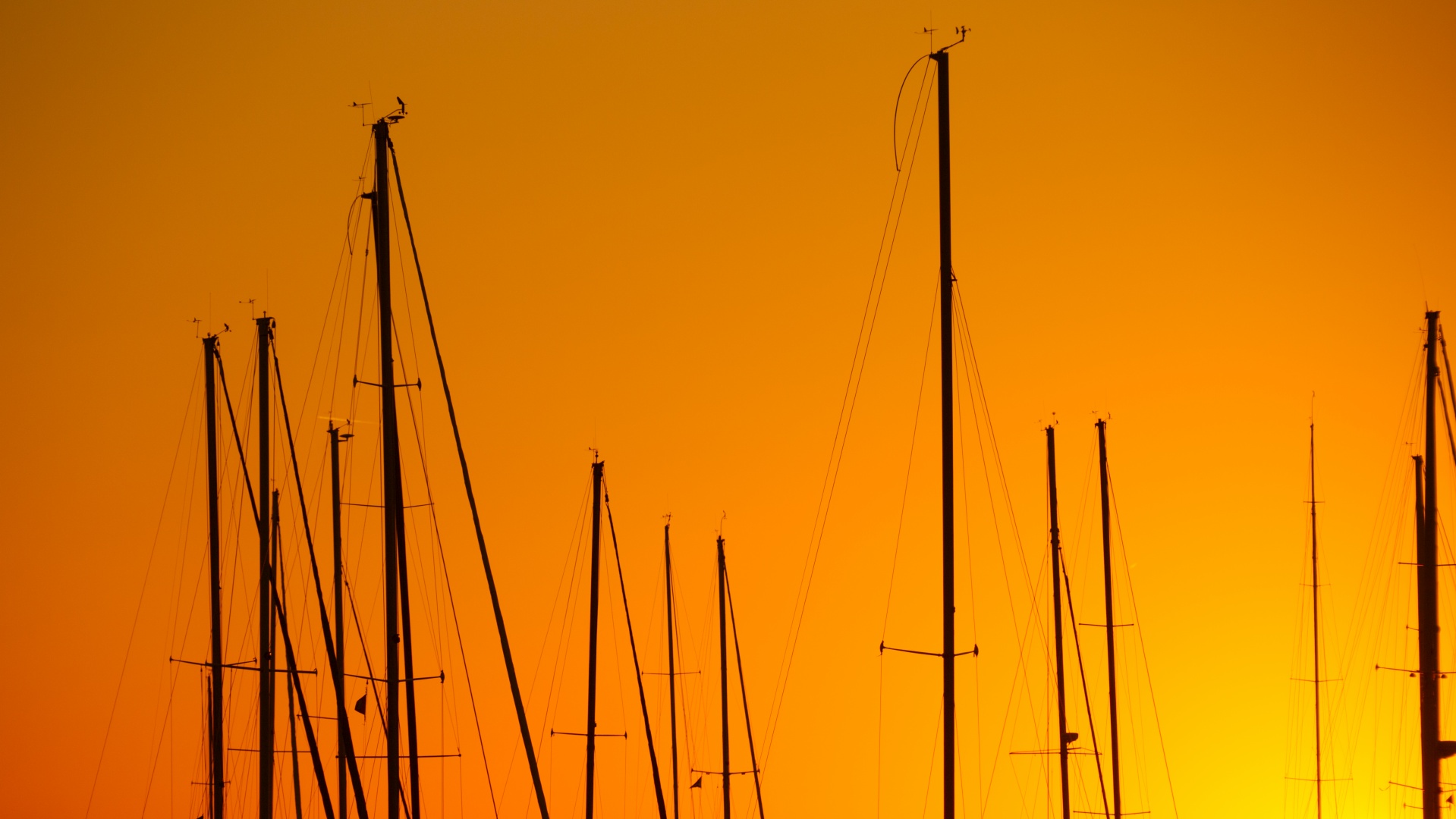 boat harbor marina free photo