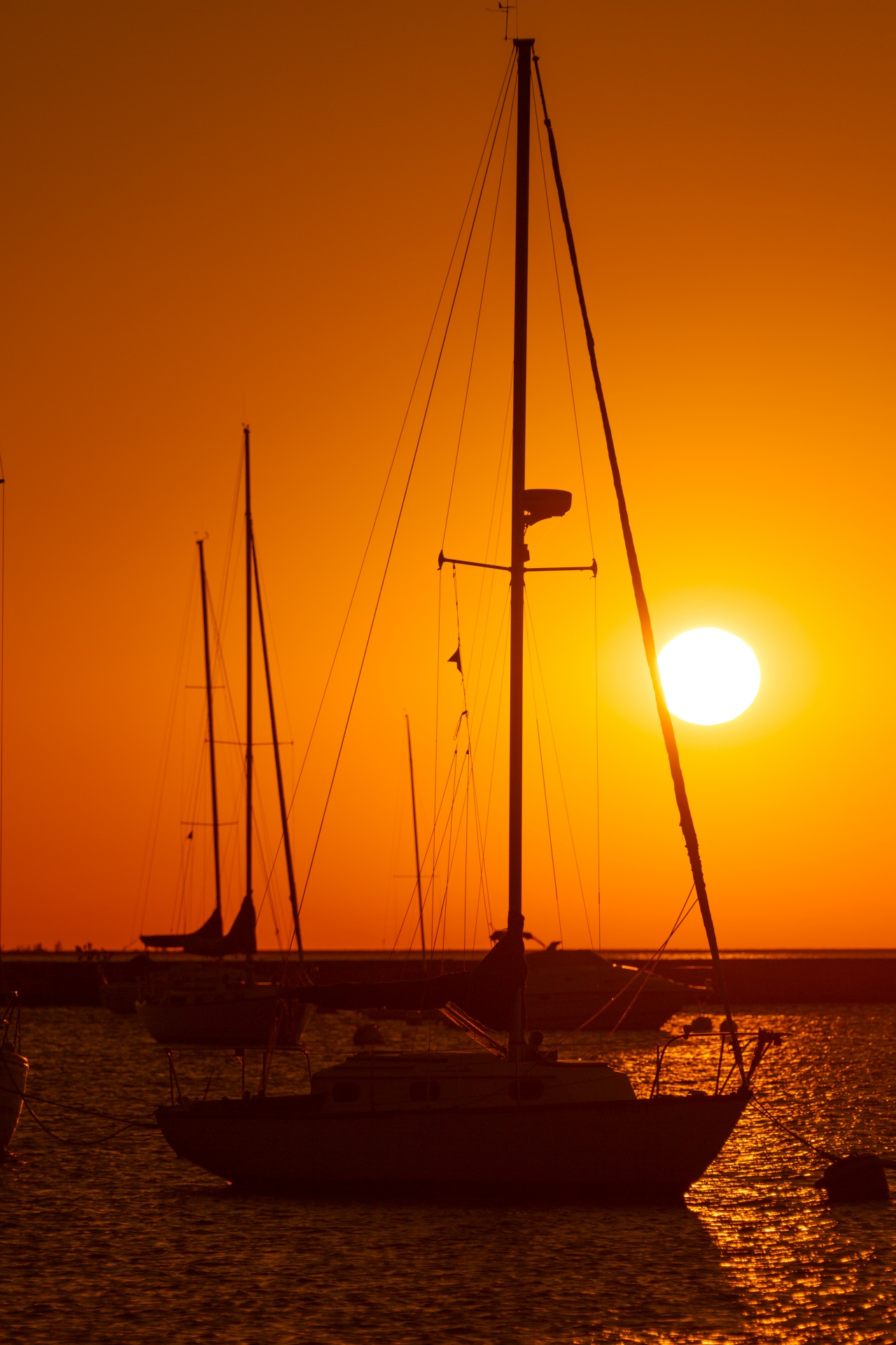 boat harbor marina free photo