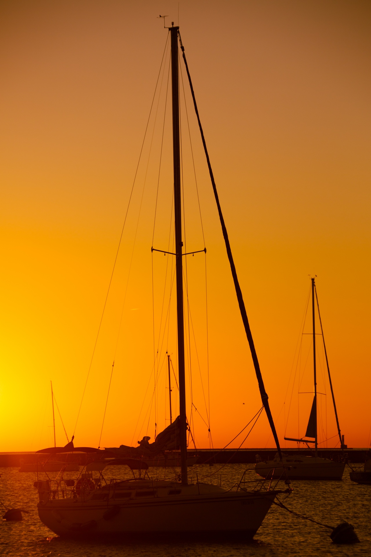 boat harbor marina free photo